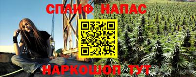 СК Краснодар