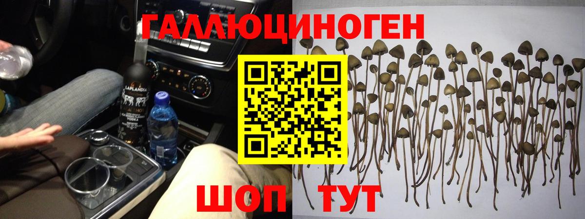 Вязьма  магазин    Вход с VPN  Галлюциногенные грибы GOLDEN TEACHER  Галлюциногенные грибы мицелий 